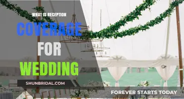Planning Your Wedding Reception Coverage