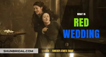 The Red Wedding: A Stark Tragedy