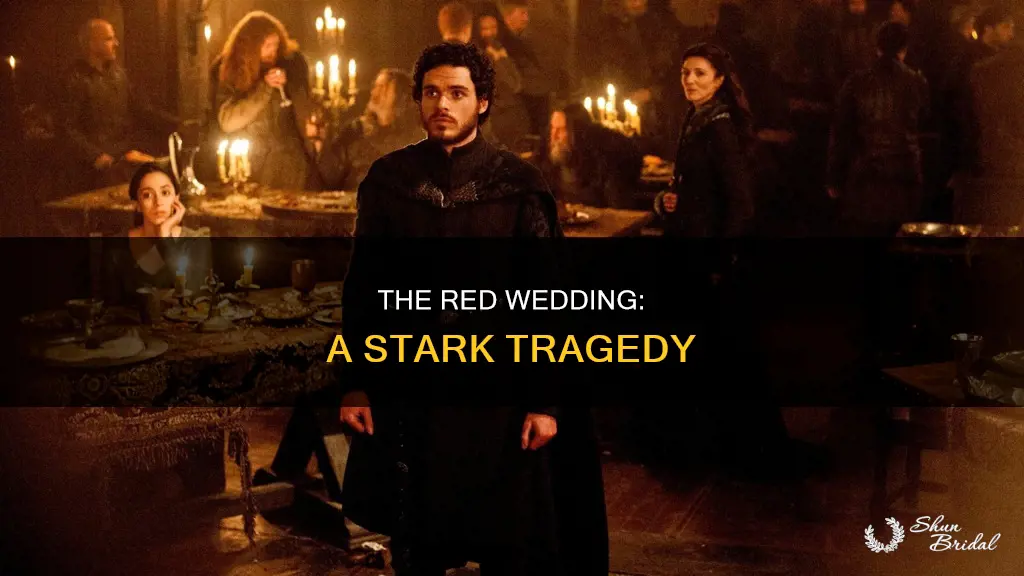 what is red wedding
