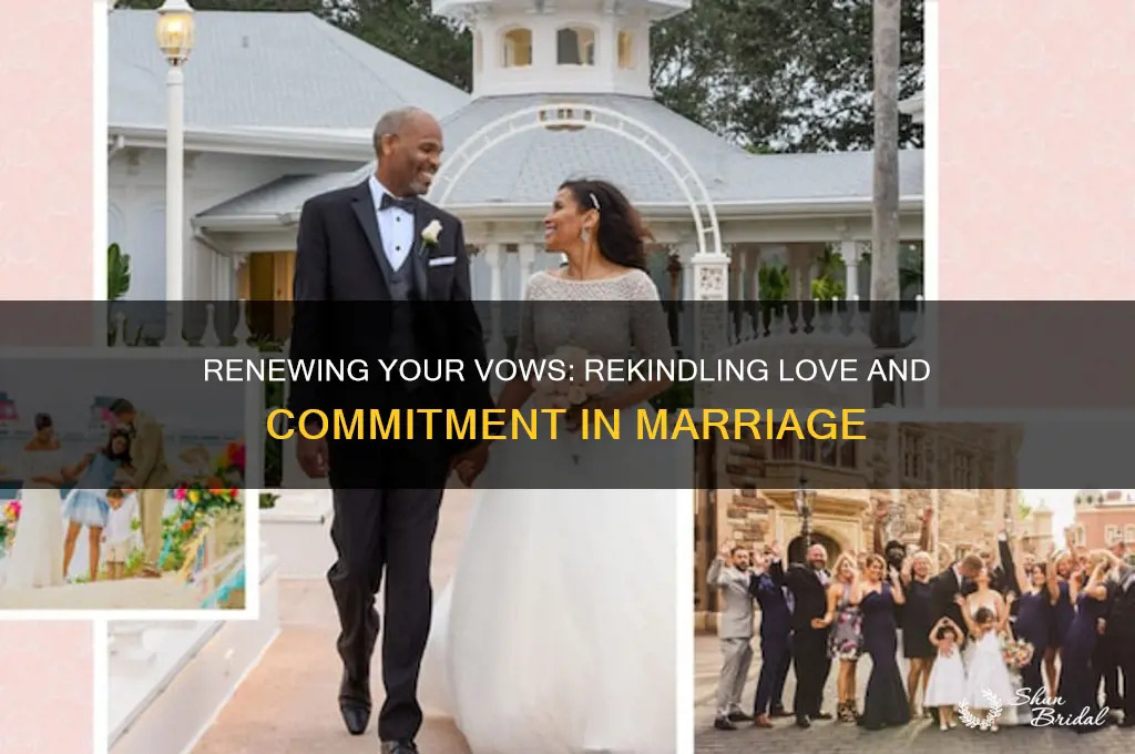 what is renewing your vows