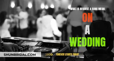 Requesting Songs at Weddings: What Does It Mean?