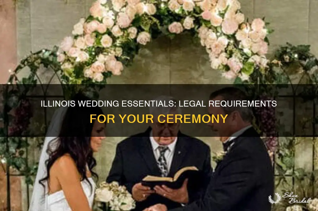 what is required in a wedding ceremony in Illinois