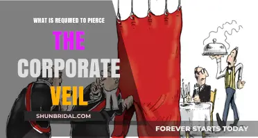 Piercing the Corporate Veil: Key Requirements and Legal Considerations