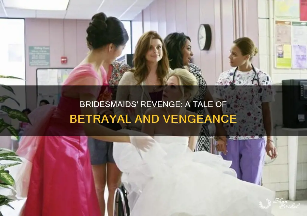 what is revenge of the bridesmaids about