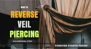 Understanding Reverse Veil Piercing: Corporate Liability and Legal Implications