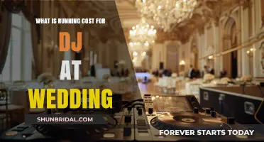Understanding the Running Costs of Hiring a DJ for Your Wedding