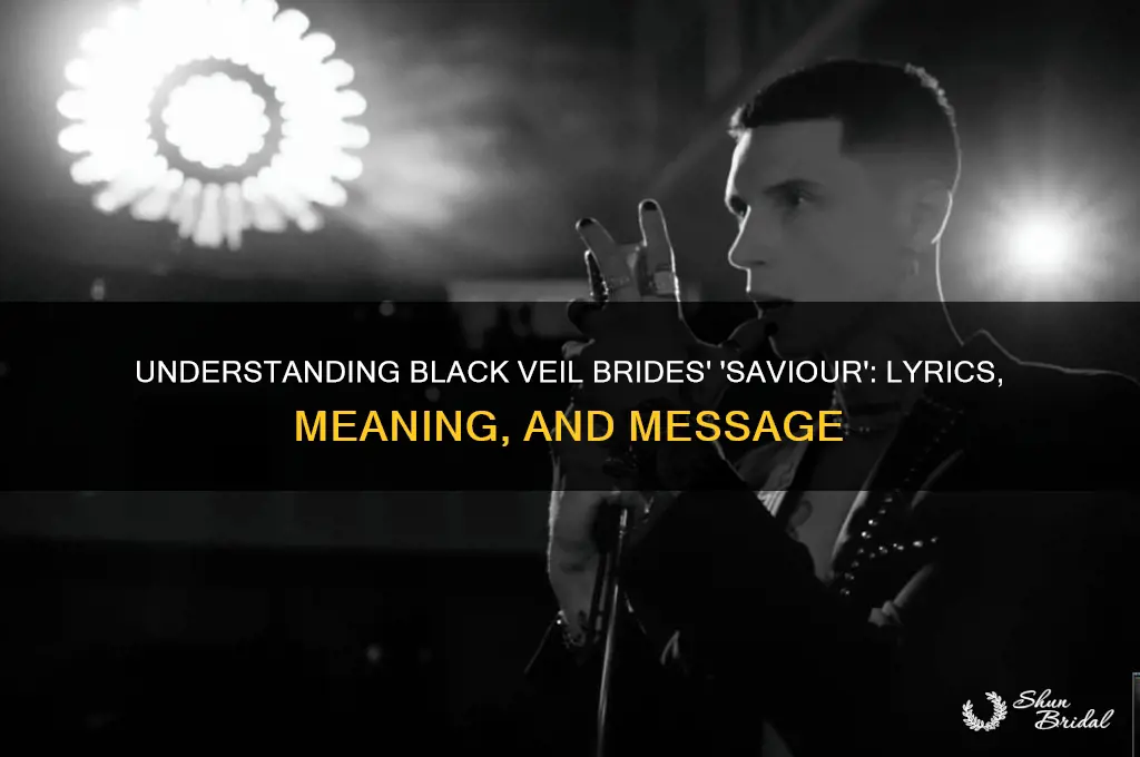 what is saviour by black veil brides about