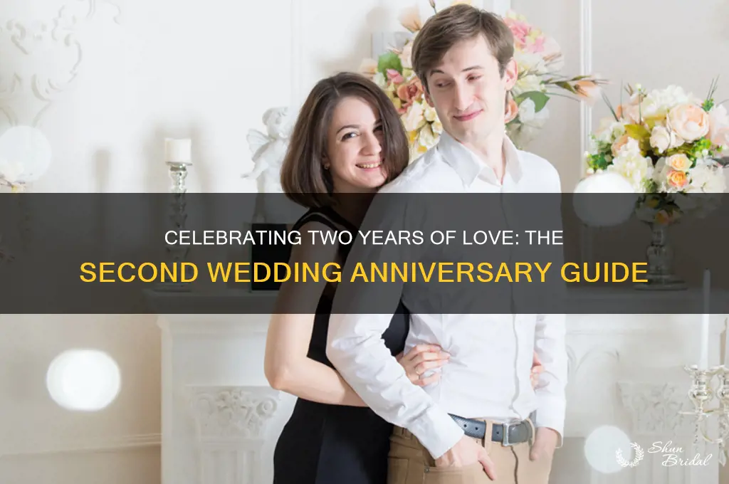 what is second wedding anniversary