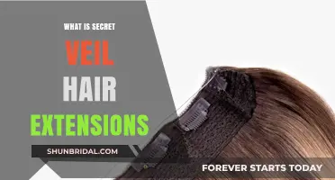 Unveiling the Mystery: Secret Veil Hair Extensions Explained