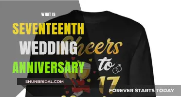 Celebrating Seventeen Years of Love: The Seventeenth Wedding Anniversary Guide