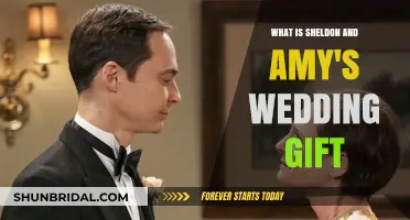 Sheldon and Amy's Heartwarming Wedding Gift: A Big Bang Surprise