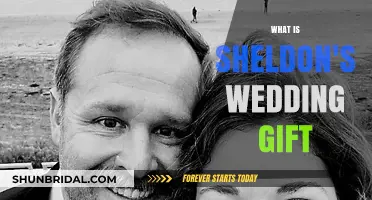 Sheldon's Unique Wedding Gift: A Surprising Twist in The Big Bang Theory
