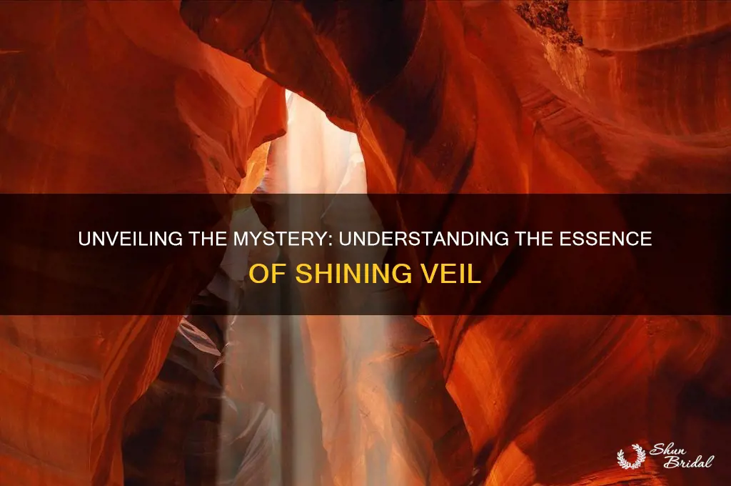 what is shining veil about