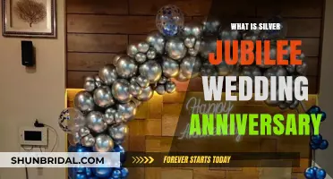 Celebrating 25 Years of Love: The Silver Jubilee Wedding Anniversary