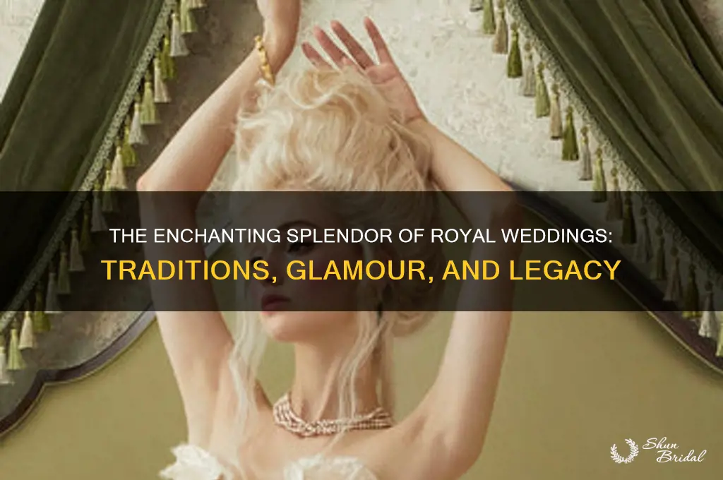 what is so special about royal wedding