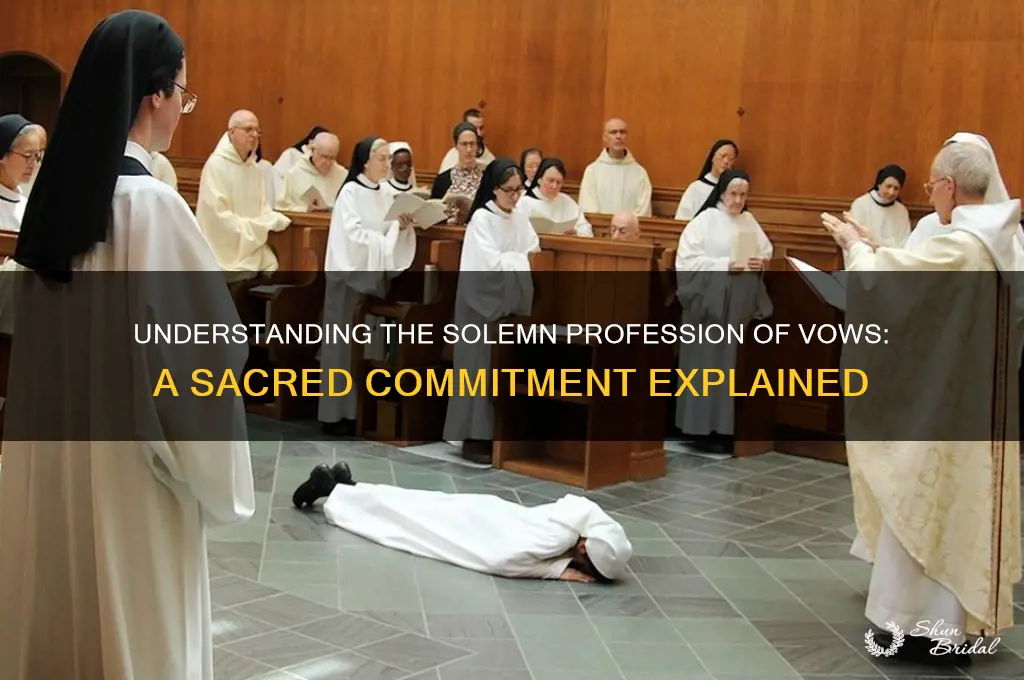 what is solemn profession of vows