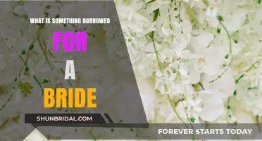 Something Borrowed for the Bride: A Guide to Wedding Traditions