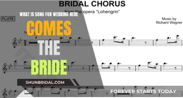 The Bridal March: 'Here Comes the Bride' Explained