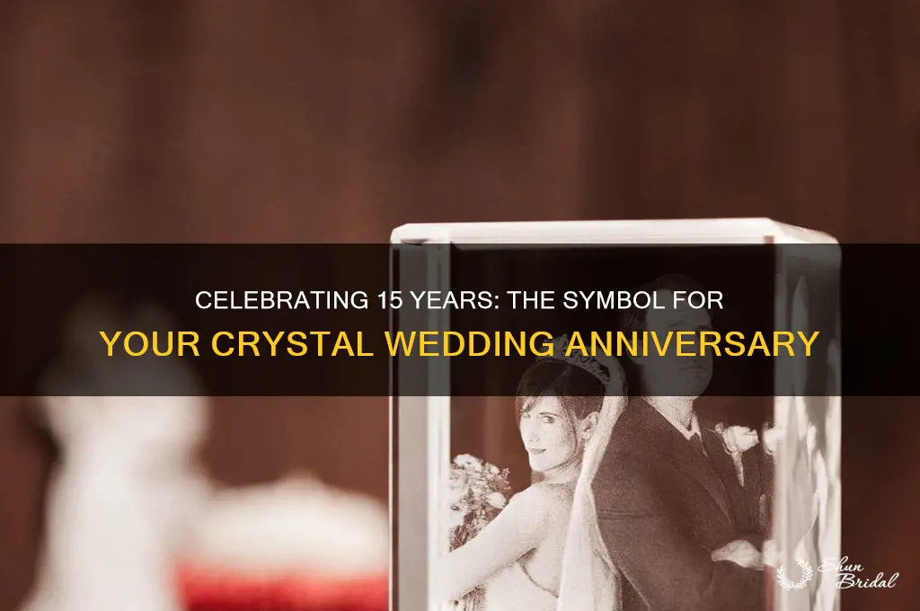 what is symbol for 15 year wedding anniversary