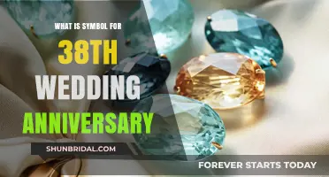Celebrating 38 Years: The Unique Symbol for Your Wedding Anniversary