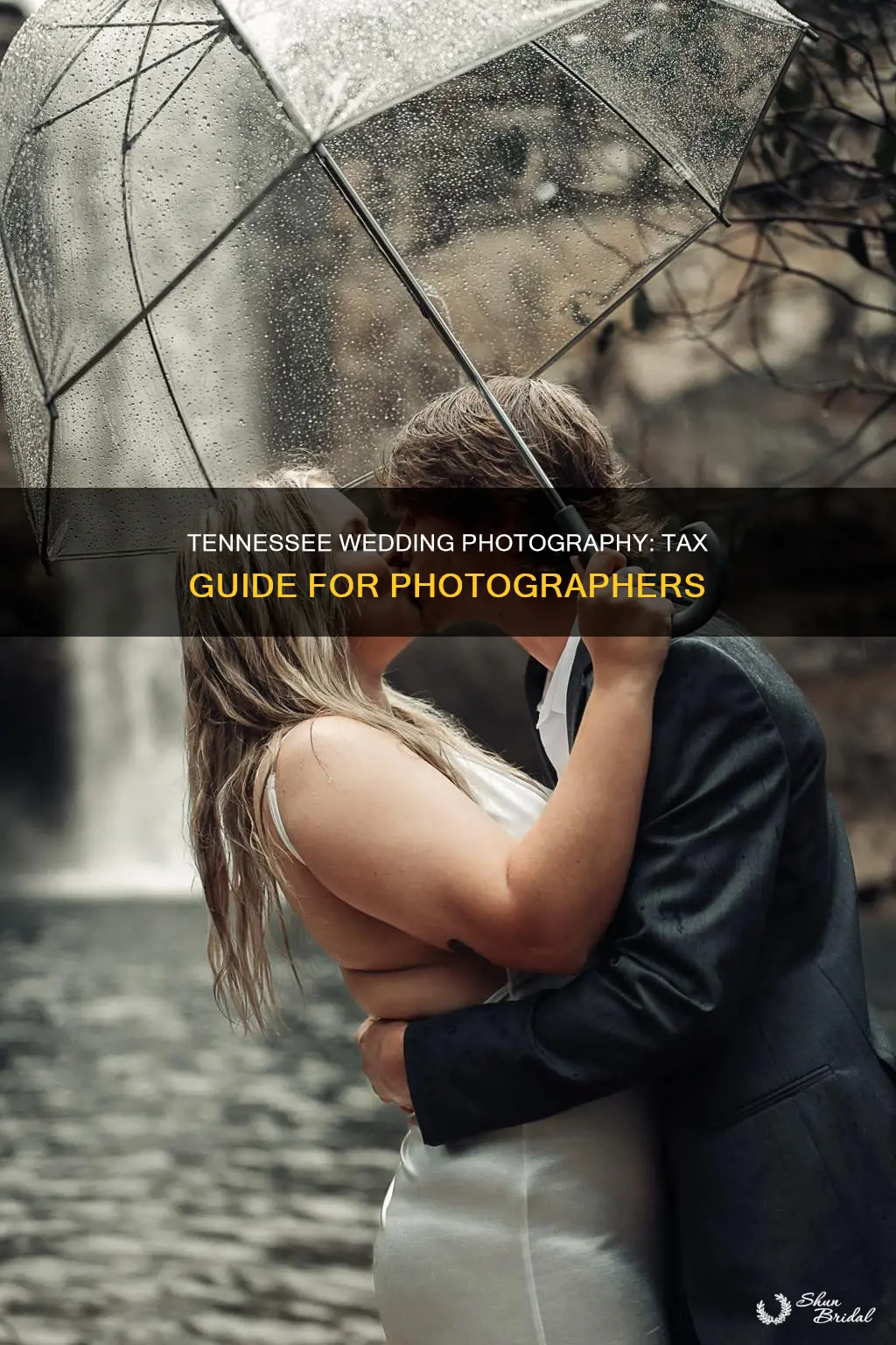 what is tax in Tennessee wedding photographer