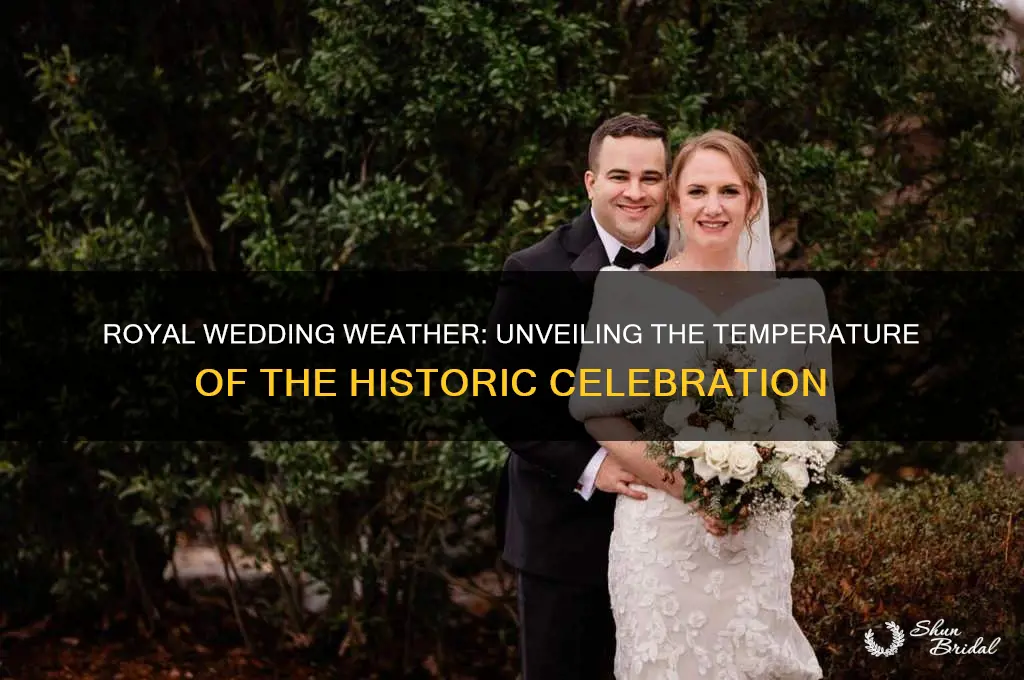 what is temperature at the royal wedding