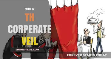 Understanding the Corporate Veil: Protection, Piercing, and Legal Implications