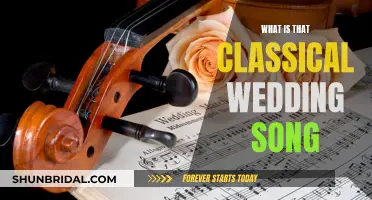 The Classical Wedding Song: A Timeless Musical Choice