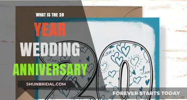 Celebrating Two Decades of Love: The 20-Year Wedding Anniversary