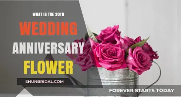 Celebrating Two Decades of Love: The 20th Wedding Anniversary Flower