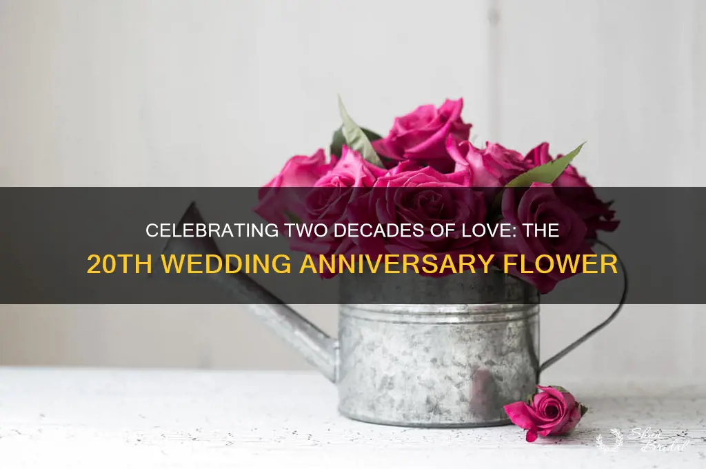 what is the 20th wedding anniversary flower