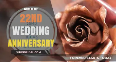 Celebrating 22 Years of Love: The 22nd Wedding Anniversary Guide