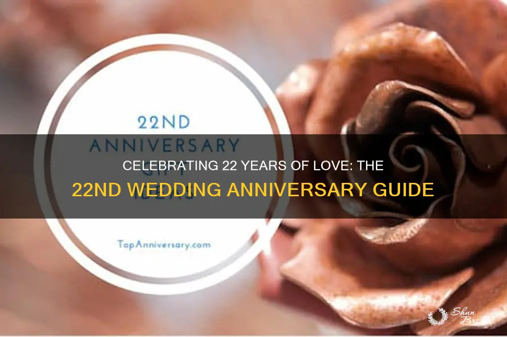 what is the 22nd wedding anniversary