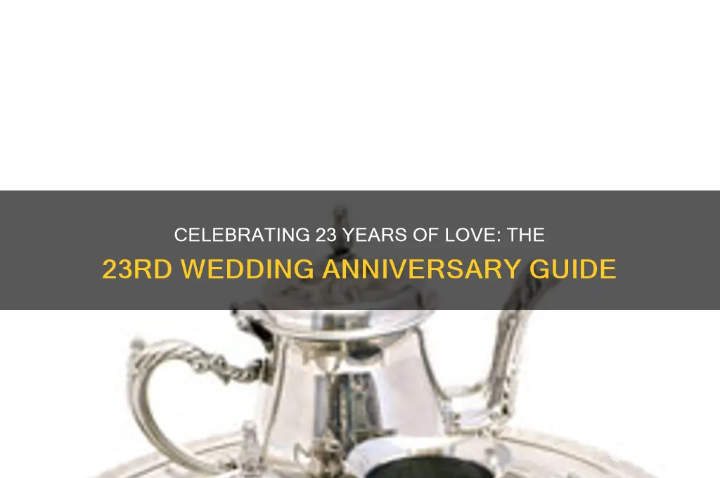 what is the 23rd wedding anniversary