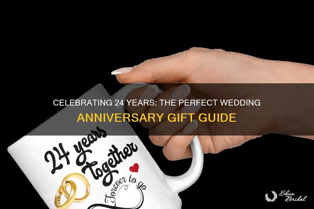 what is the 24 wedding anniversary gift