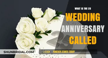 Celebrating 25 Years of Marriage: The Silver Wedding Anniversary Explained