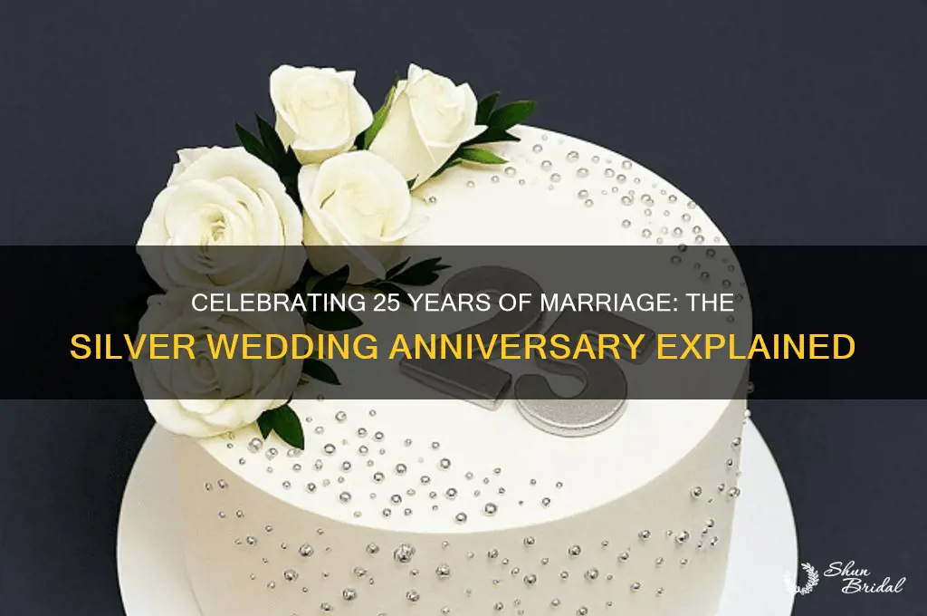 what is the 25 wedding anniversary called