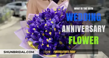 Celebrating 25 Years of Love: The Silver Wedding Anniversary Flower