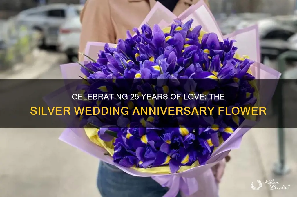 what is the 25th wedding anniversary flower