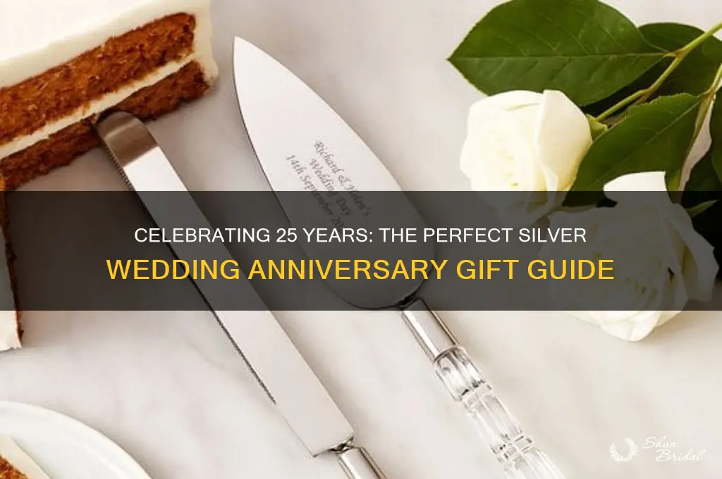 what is the 25th wedding anniversary present