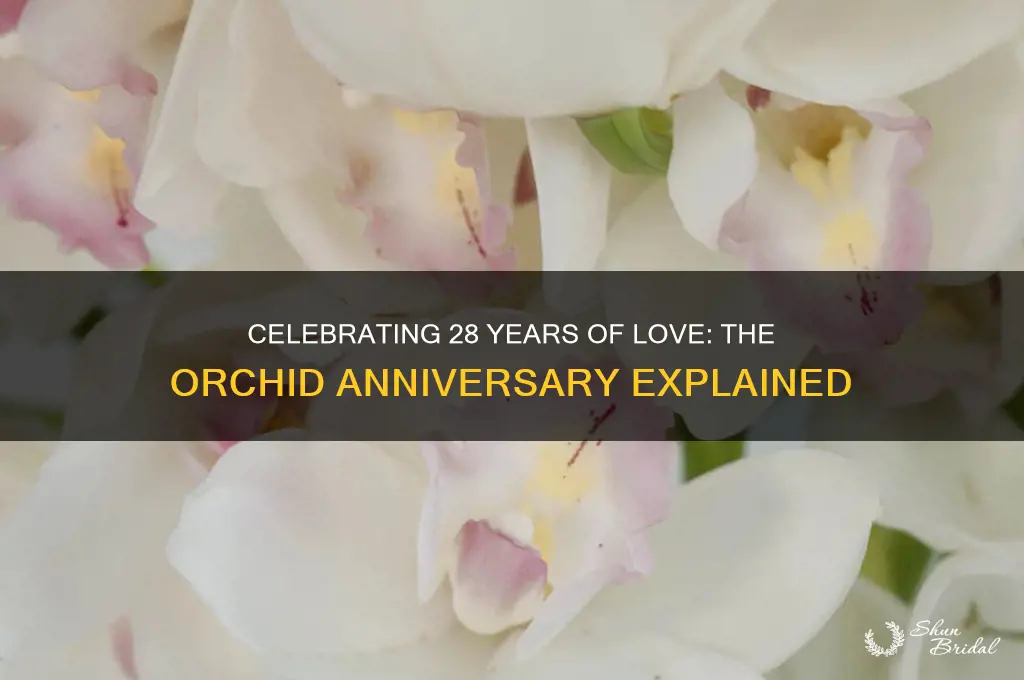 what is the 28th wedding anniversary