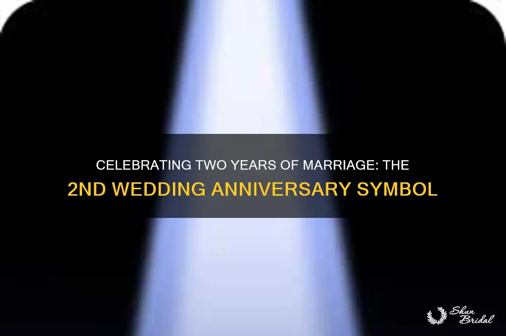 what is the 2nd wedding anniversary symbol