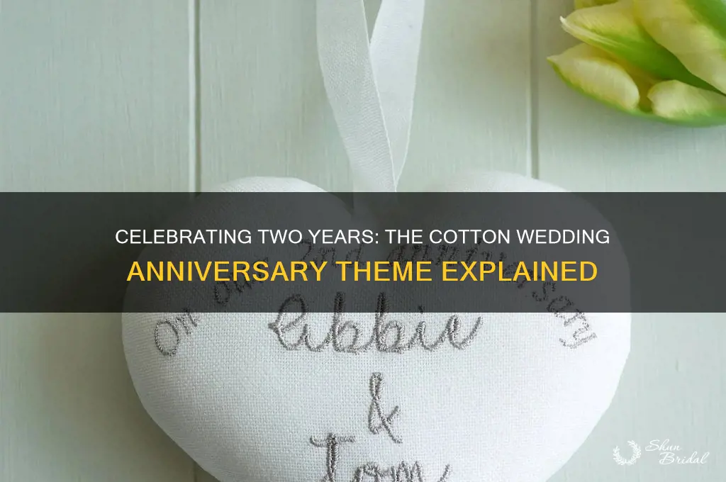 what is the 2nd wedding anniversary theme