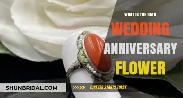 Celebrating 35 Years: The Coral Rose Anniversary Flower Explained