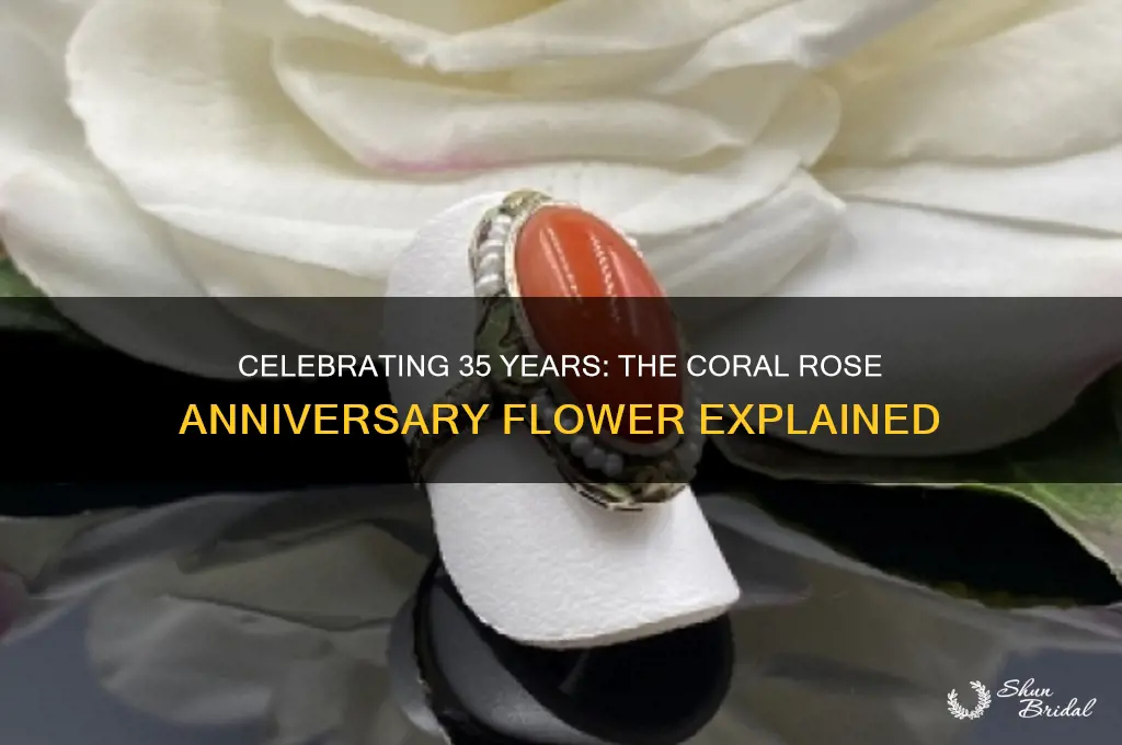 what is the 35th wedding anniversary flower