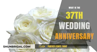 Celebrating 37 Years of Love: The Alabaster Wedding Anniversary