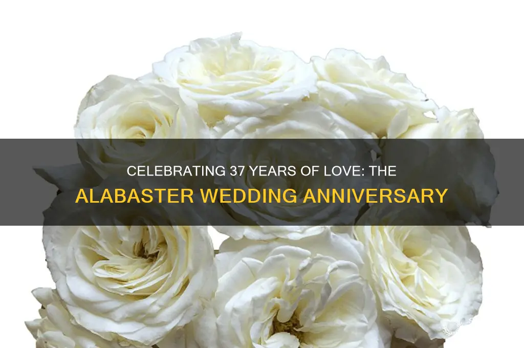 what is the 37th wedding anniversary