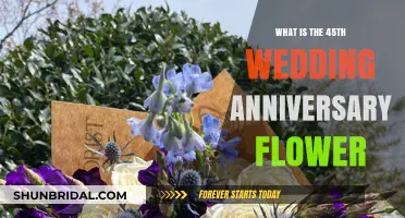 Celebrating 45 Years of Love: The Sapphire Anniversary Flower