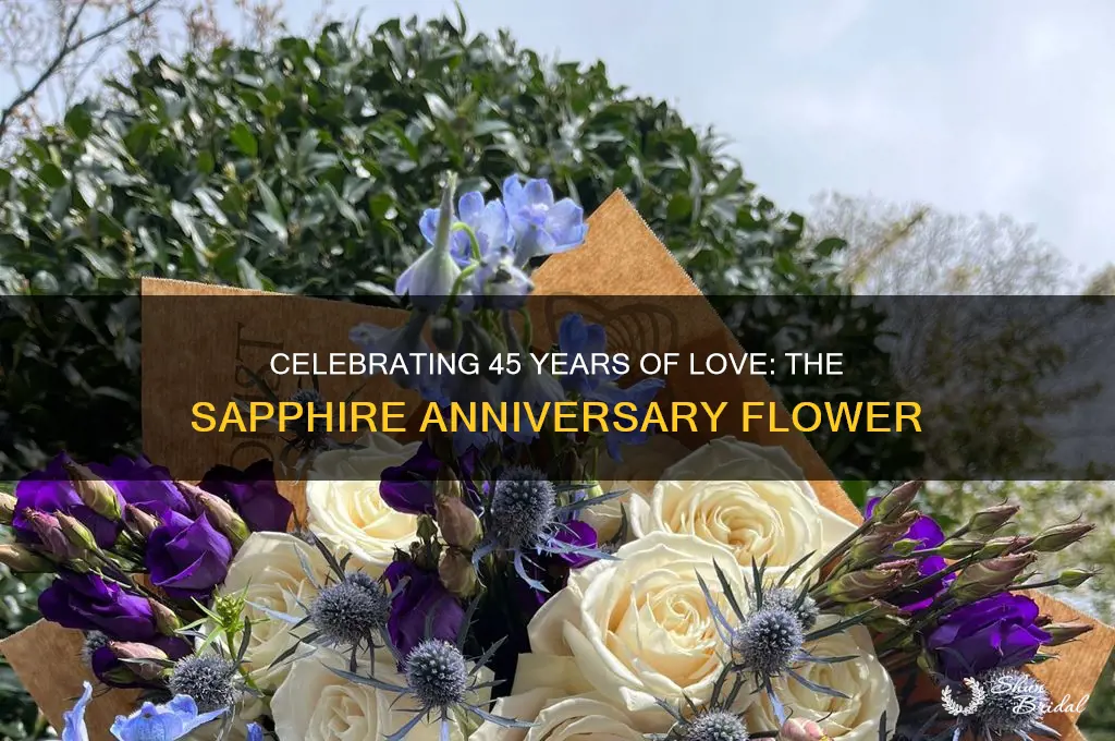 what is the 45th wedding anniversary flower