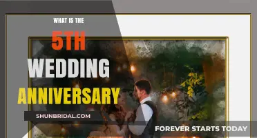 Celebrating Five Years of Love: The 5th Wedding Anniversary Guide